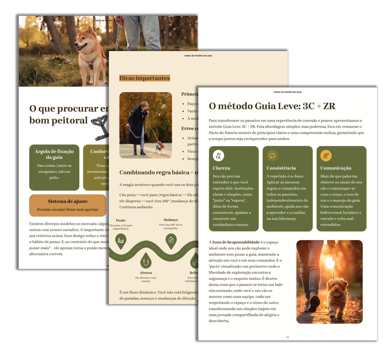 Páginas do ebook mostrando o método