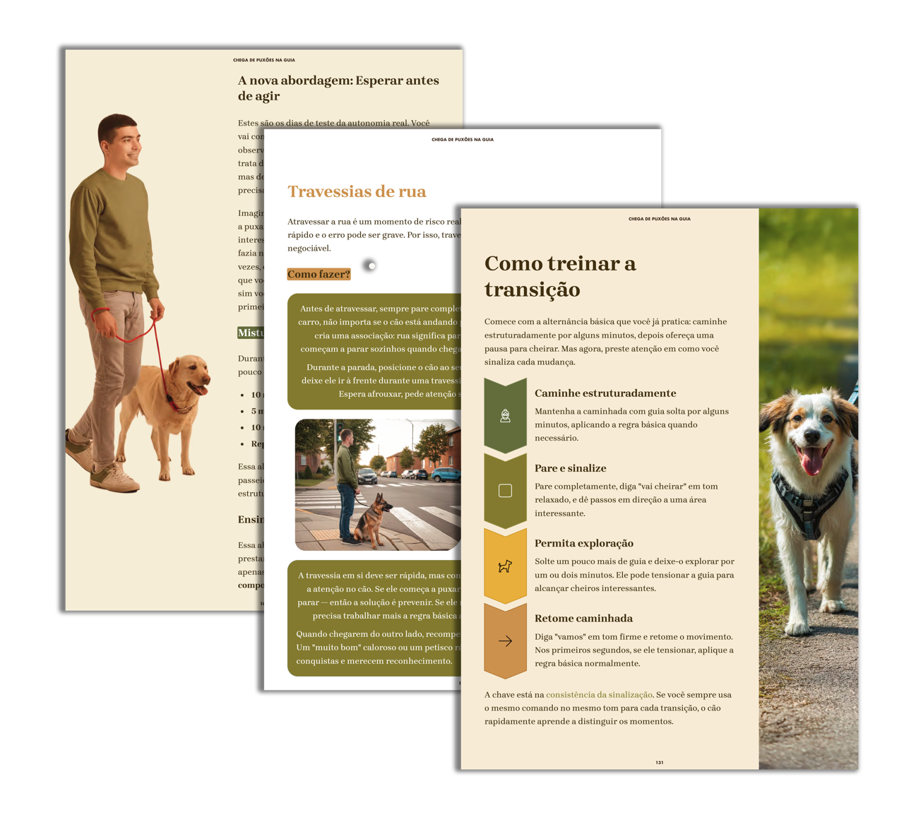 Exercícios práticos passo a passo