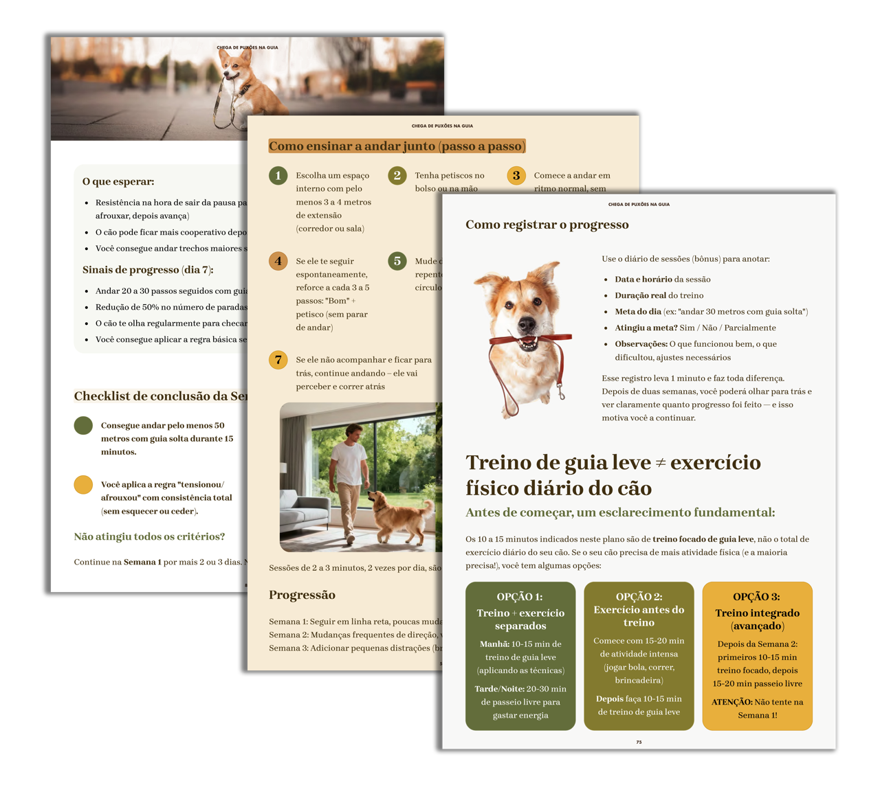 Ilustrações e exemplos visuais